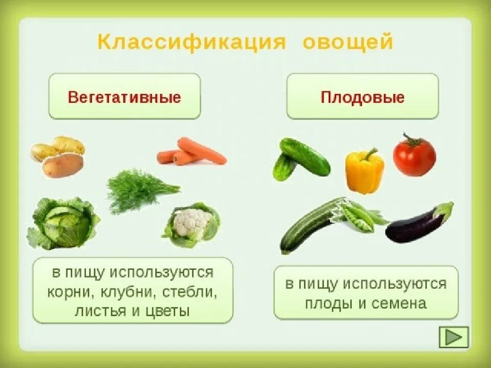 Овощ используемый в. Классификация овощей. схема обработки корнеплодов.. плодовые овощи классификация. классификация овощей вегетативная и плодовая. механическая кулинарная обработка плодовых овощей.