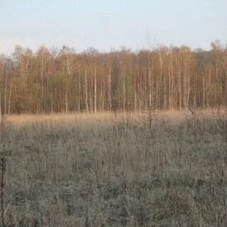 Продать участок калужская область