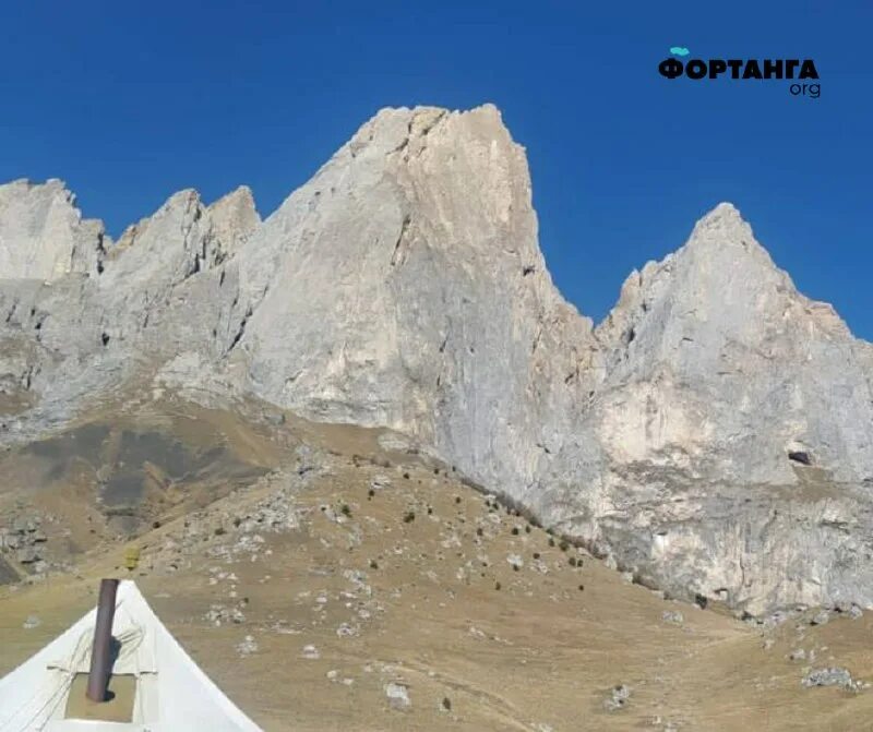 Фортанга орг. Фортанга орг. Главный пристав республики ингушетия. Фортанга org. Фортанга орг.