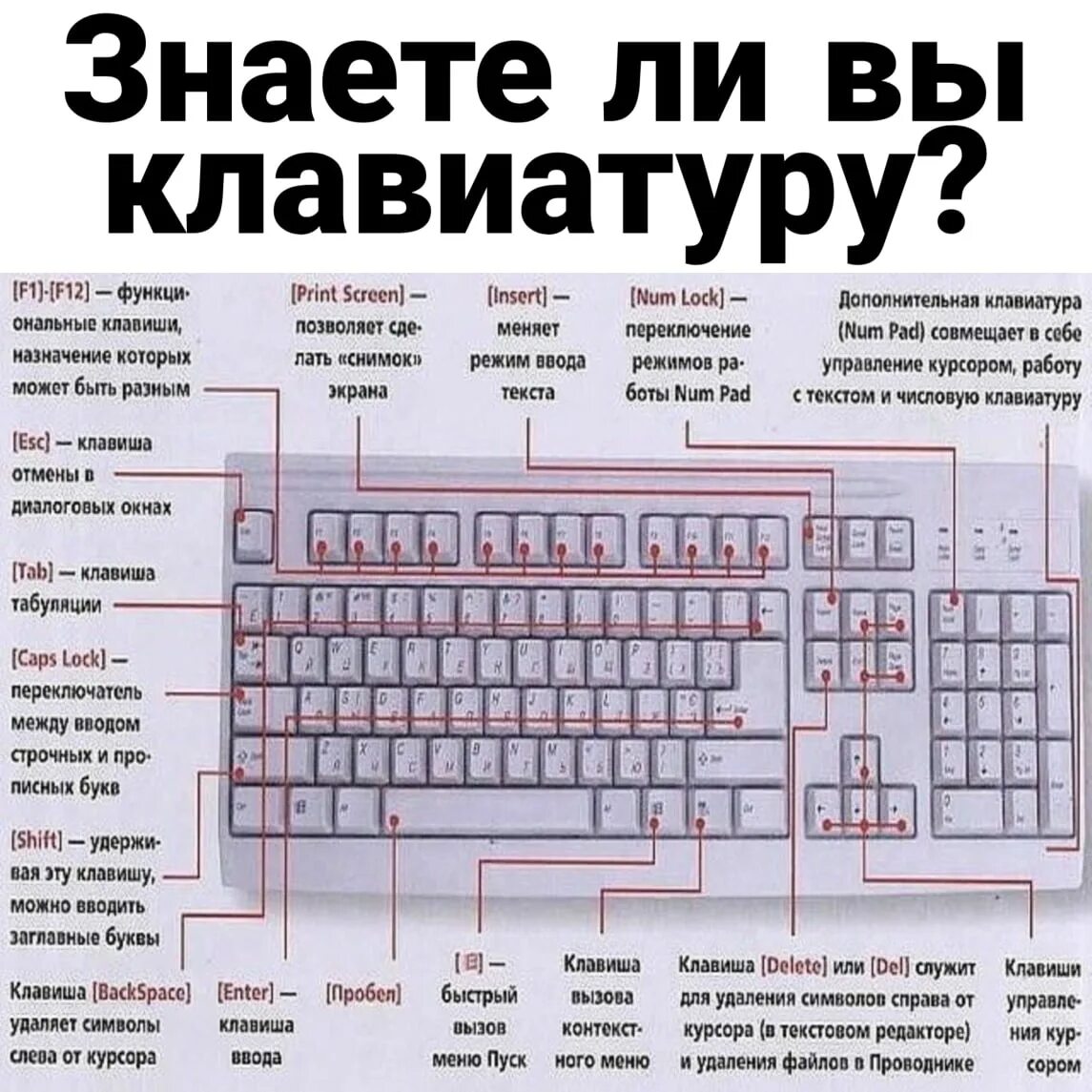 Клавиатура компьютера Назначение клавиш. Клавиатура ПК Назначение клавиш. Название кнопок на клаве. Назначение кнопок на клавиатуре.