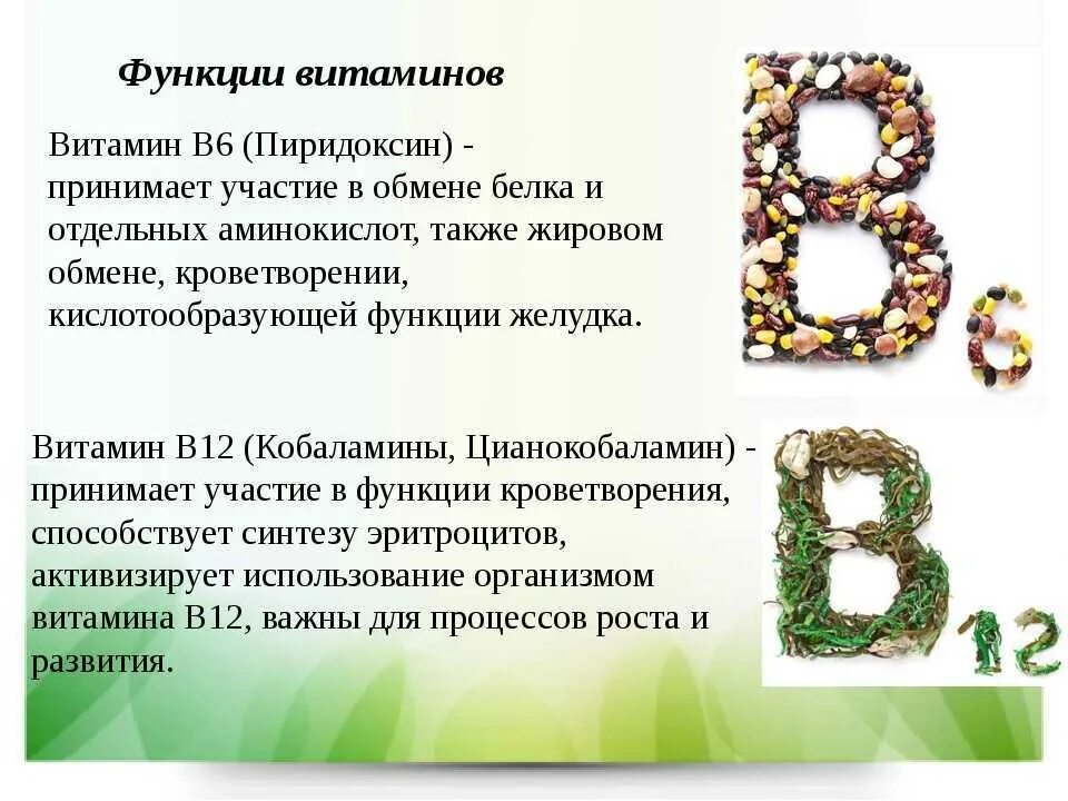 Витамин б 6 применение. Роль витамина в6 в организме человека. Витамин в6 функции биохимия. Функции витамина b6 биохимия. Витамин b6 функции в организме.