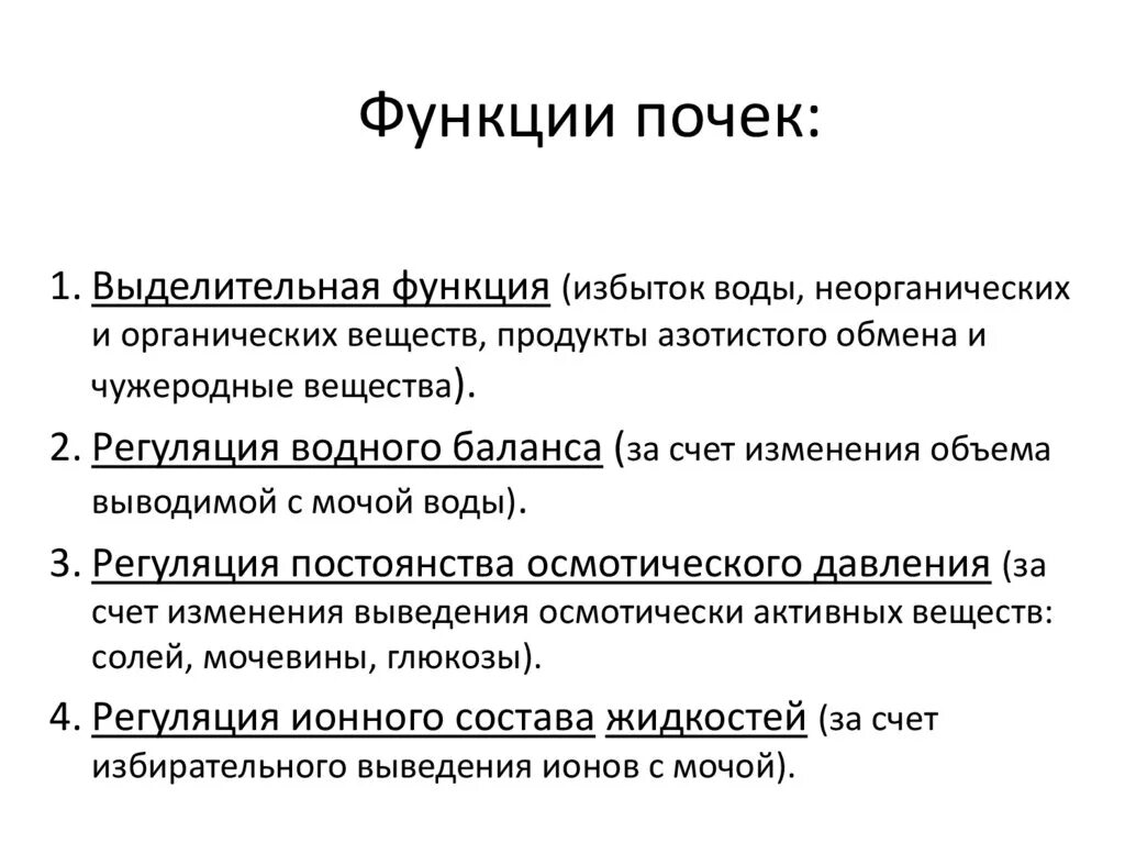 Каковы функции почек. Перечислите основные функции почек. Перечислите и охарактеризуйте функции почек. Назовите функции почек. Перечислите и охарактеризуйте основные функции почек.