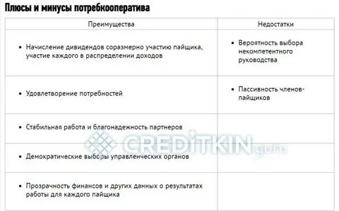 Производственный кооператив достоинства и недостатки
