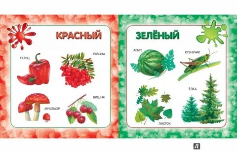 Изучаем цвета зеленый