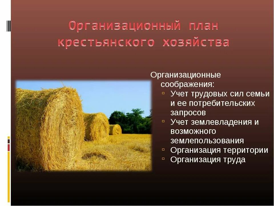 труд в крестьянском хозяйстве. орудия труда крестьян средневековой деревни. традиционныетзанятия русских. теория трудового крестьянского хозяйства. информация о крестьянском хозяйстве.
