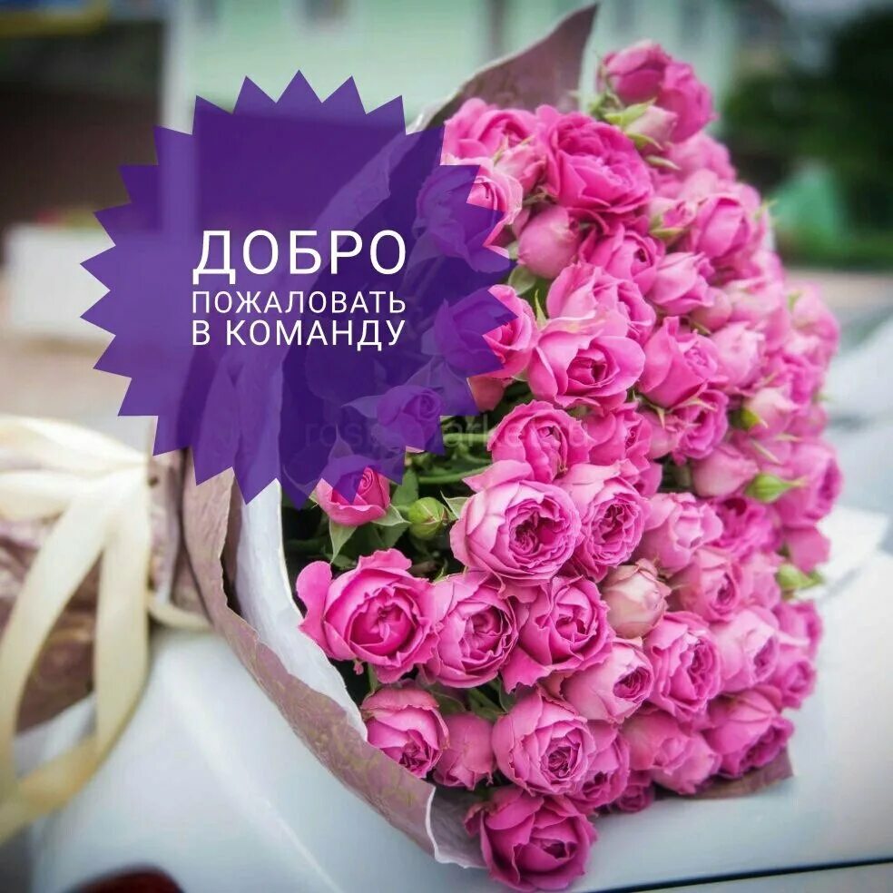 Добро пожаловать в самдалри 2. Добро пожаловать в команду. добро пожаловать в нашу команду. добропожалывать вкомпнду. добро пожаловать в команду цветы.