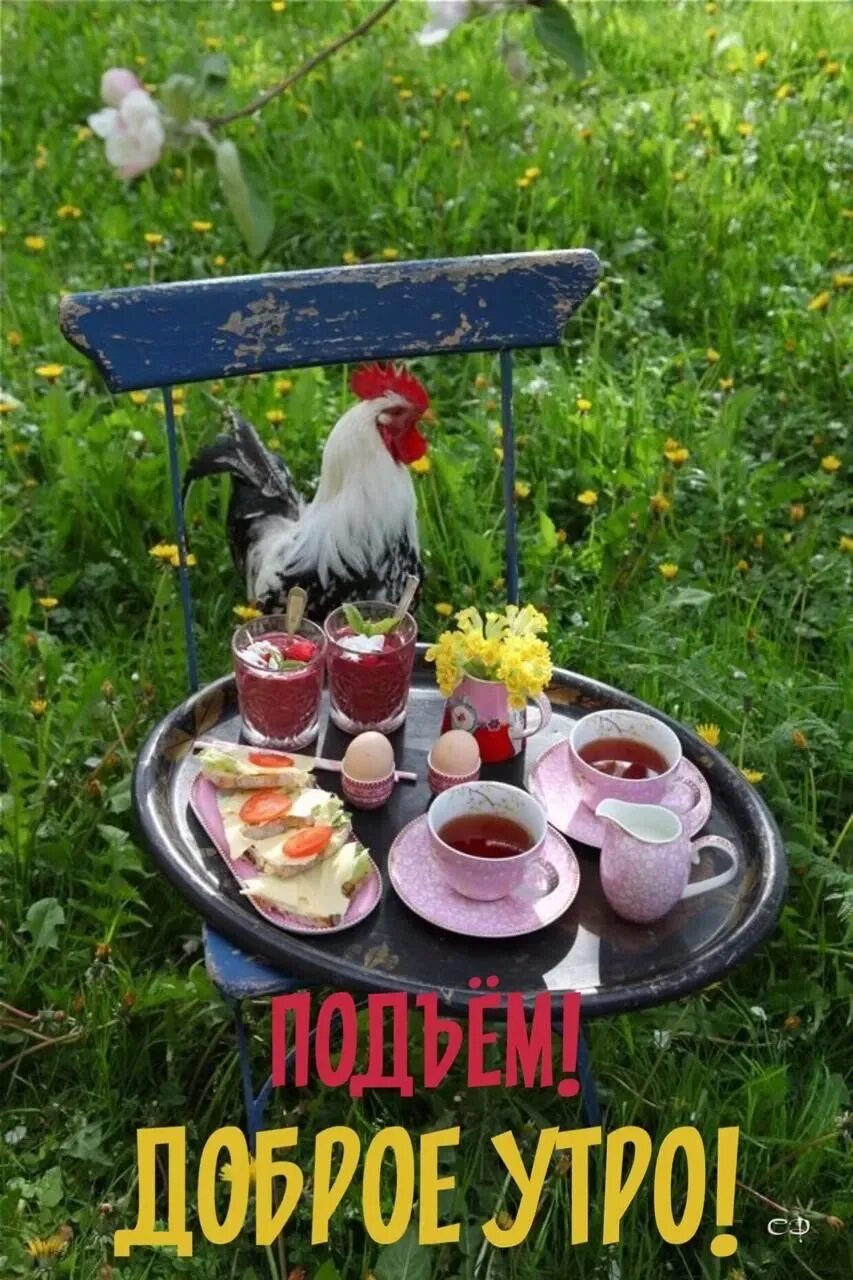 Хорошего деревенского дня