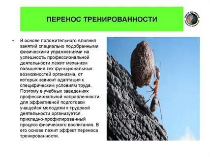 Влияет перенос
