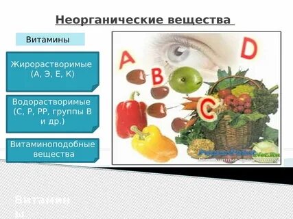 Презентация органических и неорганических веществ 6 класс