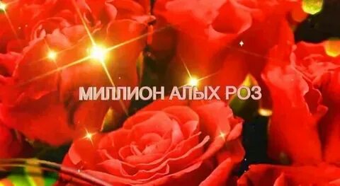 Розы алые минус