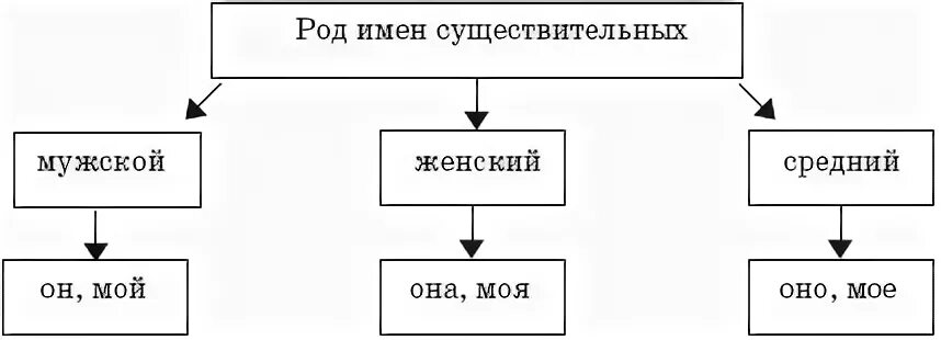 Род существительных таблица. Род имен существительных. Род имен существительных таблица. Мужской род женский род средний род. Схема какой род