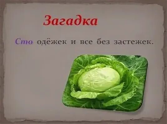 Сто одежек и все без застежек