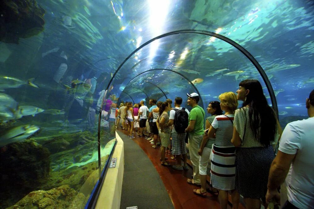 Океанариум шарджа. Океанариум в испании барселона. аквариум l’aquarium de barcelona, испания. океанариум (l&#039; aquarium). барселона океанариум туннель.