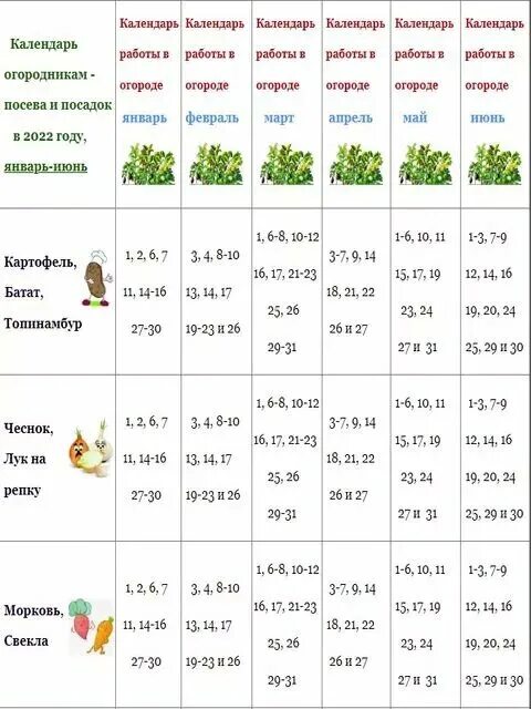 Календарь посадки январь 2024. Календарь посева на 2022 год таблица. Посевной календарь на июль 2022 года таблица. Лунный посевной календарь на 2022 год 2022. Посевной календарь на 2022 для огородников лунный.