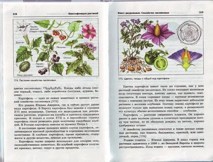Проект по биологии 9 класс растения