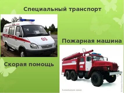 Скорая какой вид транспорта