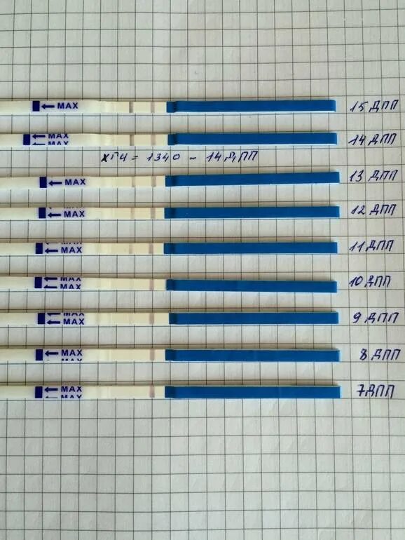 Тест на беременность 5 дневки. Тесты после подсадки. Мазня после подсадки эмбрионов. Тесты после переноса эко. Тесты после подсадки эмбрионов.