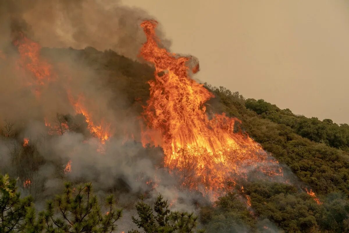 Почему много пожаров. Лесные пожары в Калифорнии 2020. Лесной пожар Калимантан 1982. Лесные пожары в Калифорнии, США (2017, 2018). Лесной пожар на острове Калимантан (1982 г.), Индонезия.