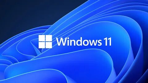 Windows 11 crashes