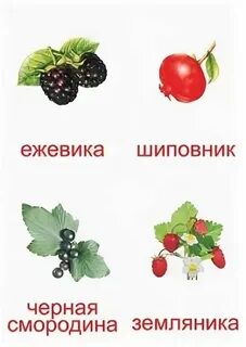 Самые полезные ягоды для детей