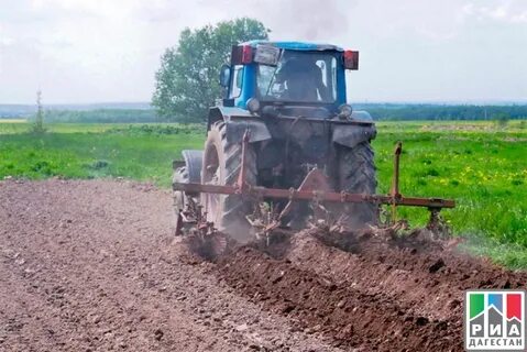 Когда начинают пахать землю