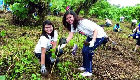 Wear a uniform plant trees