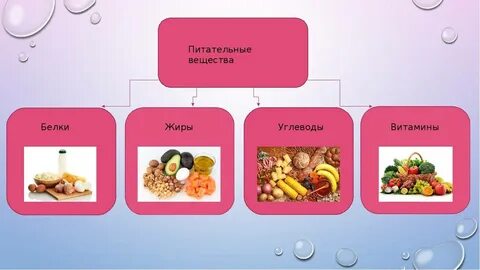 Питательные вещества 3 класс окружающий мир