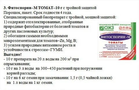 Когда обрабатывать фитоспорином помидоры в теплице