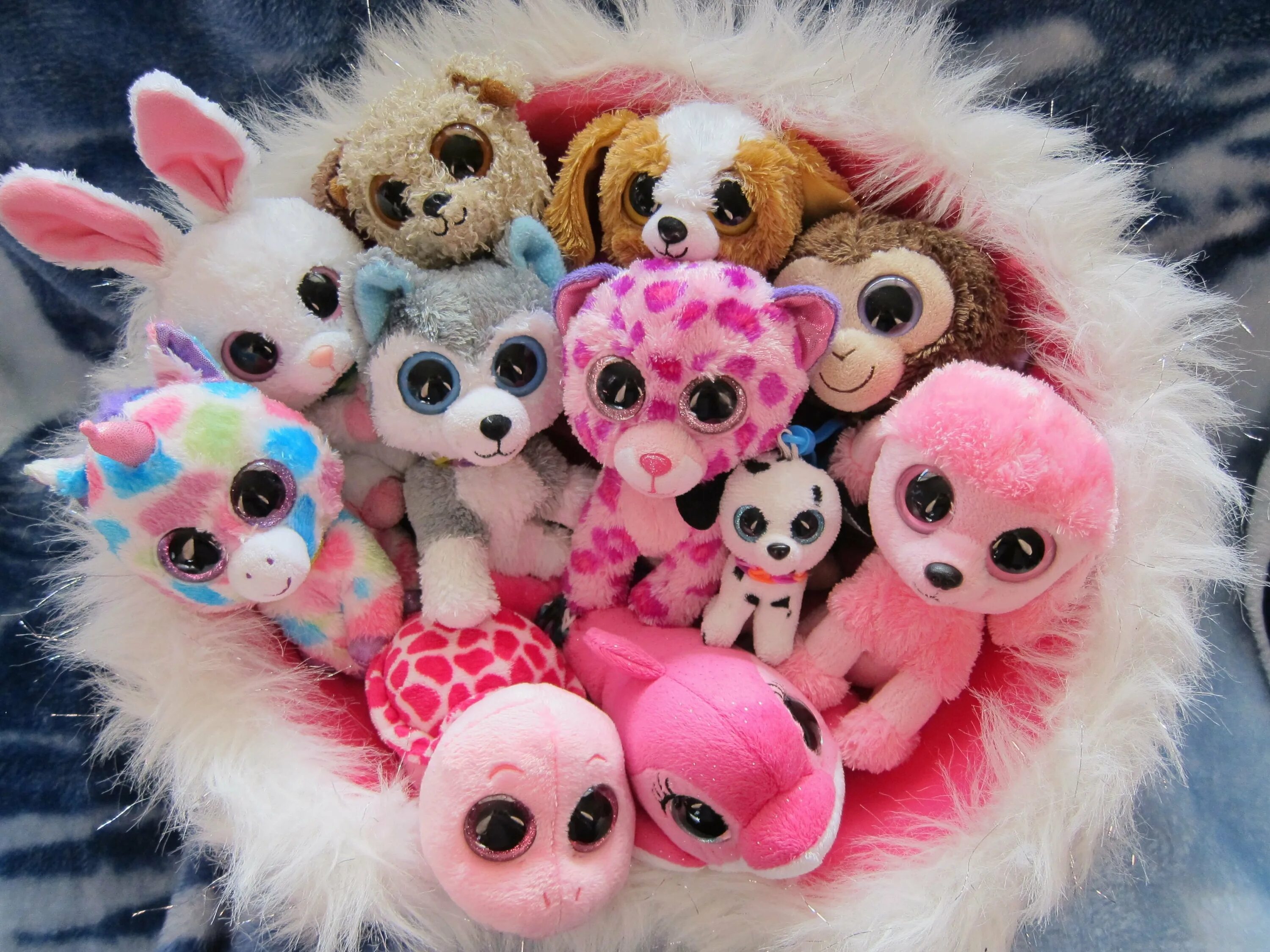 Ty Beanie Boos Глазастики. Игрушки бини Боос. Милые игрушки. Красивые плюшевые игрушки. Включи глазастик