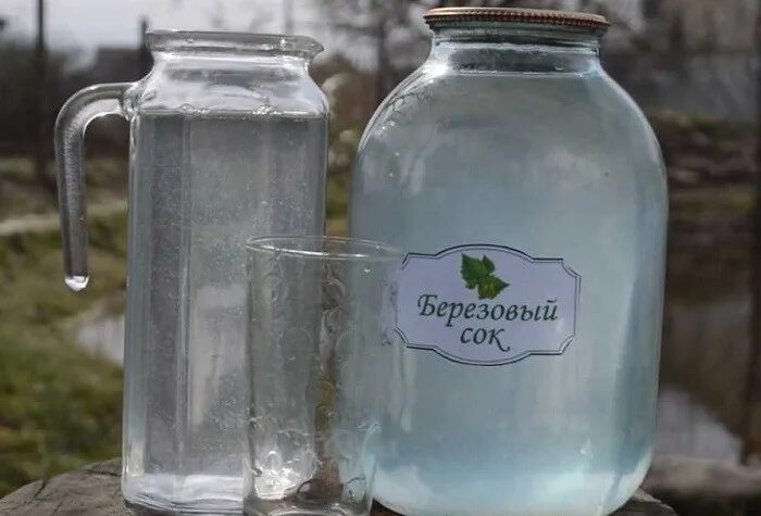 Срок хранения березового сока. Берёзовый сок. березовый сок в трехлитровых банках. банка березового сока. консервация березового сока.