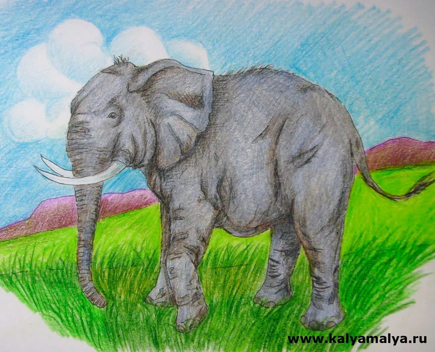 Слон нарисовать. Рисование слона. Слон карандашом. Нарисовать слона. Слон цветными карандашами.