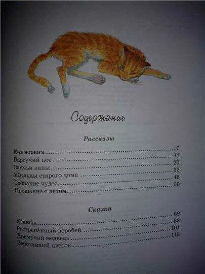 Кот ворюга читать. Кот-ворюга паустовский сколько страниц. сказка кот ворюга. книга кот ворюга паустовский. рассказ кот ворюга.