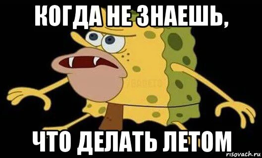 Что поделать летом. Что делать летом. Не знаю что поделать. Что можно поделать летом