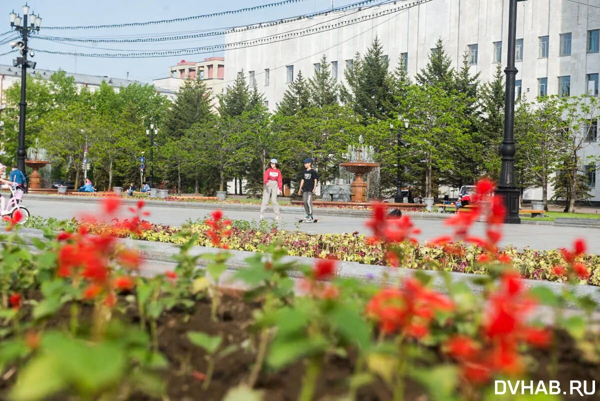 Горзеленстрой. Горзеленстрой ставрополь директор. Горзеленстрой. Горзеленстрой хабаровск. Сквер российский город ставрополь.