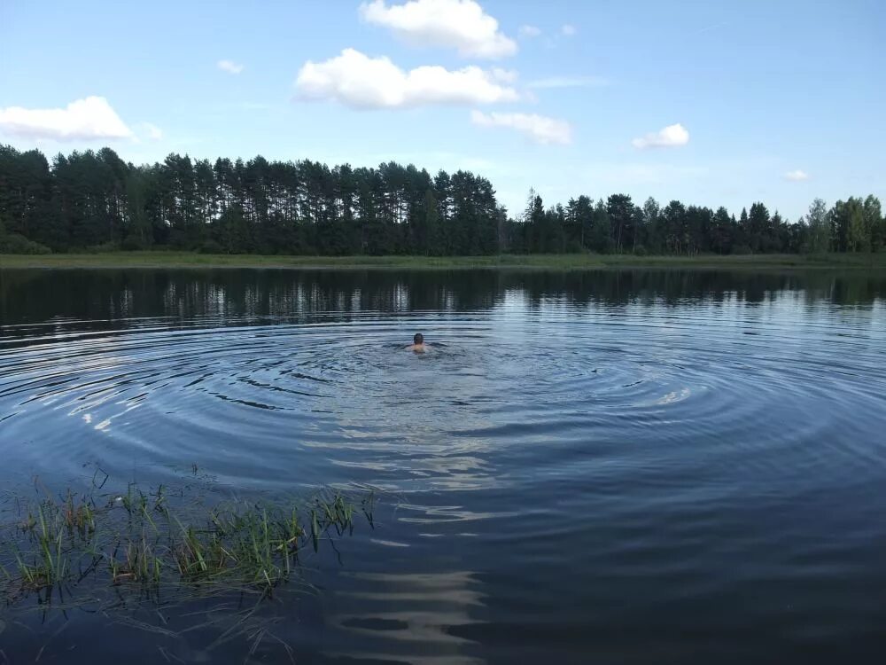 Река елнать ивановская область. Ивановская область село елнать. Елнать река. Река елнать ивановская. Река елнать ивановская область.