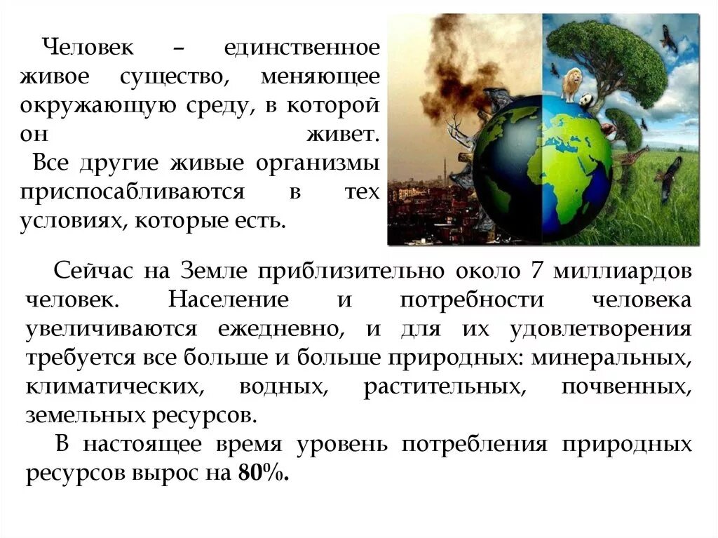 Влияние бытовых отходов на окружающую среду и здоровье человека. Доклад на тему человек и окружающая среда. Влияние живых организмов на окружающую среду. Влияние деятельности человека на окружающую среду кратко. Доклад влияние окружающей среды