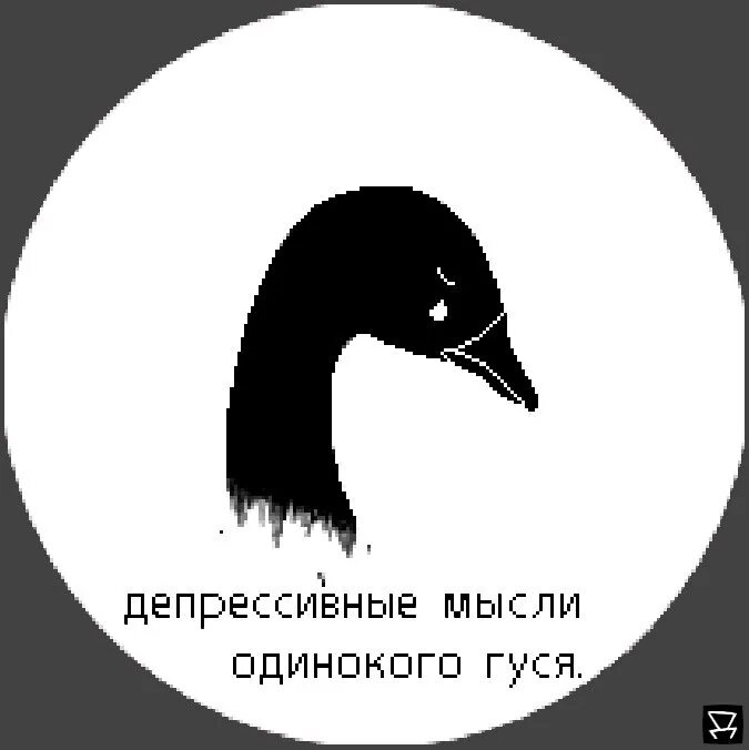 Песня черный гусь. Черный Гусь. Депрессивный Гусь. Одинокая гусыня. Грустный Гусь.