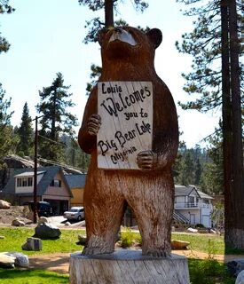 Big bear