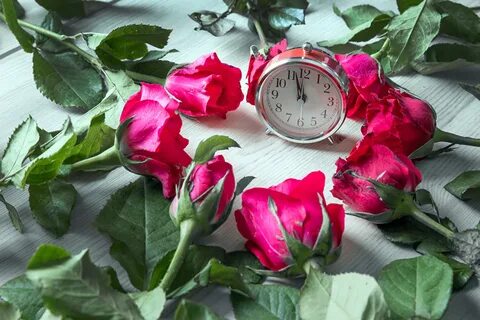 Watch flowers