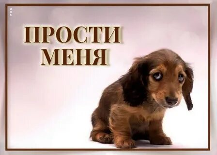 Извини р