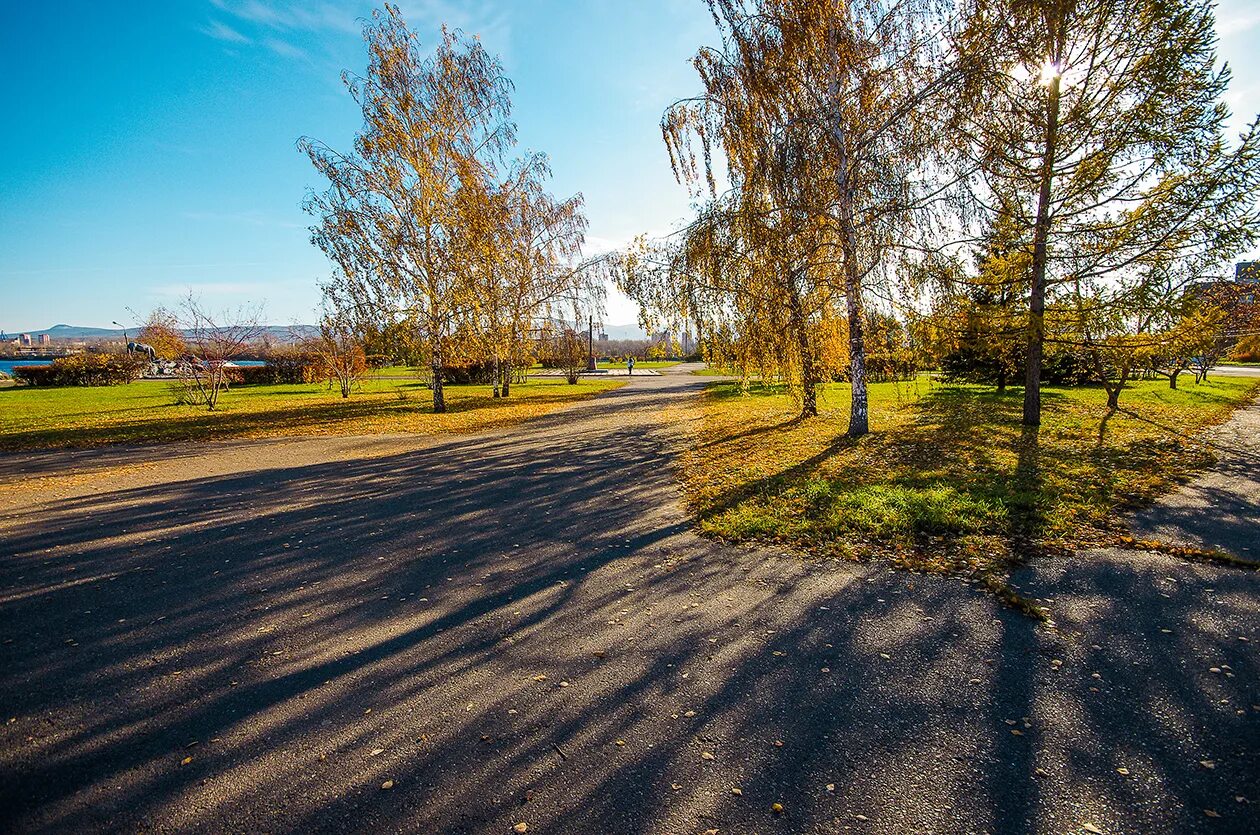 Сайт татышев красноярск