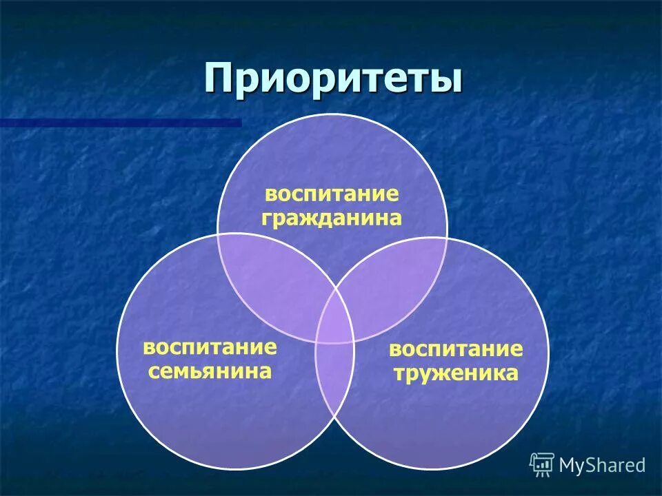 государственная политика в сфере воспитания. приоритеты воспитания детей. принцип приоритета семейного воспитания детей. целевые приоритеты воспитания в начальной школе. приоритеты воспитания детей.