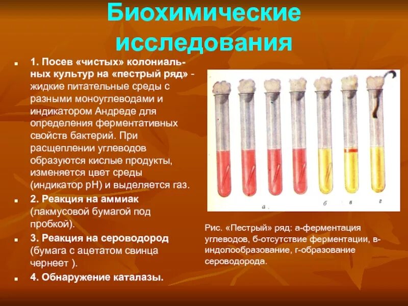 Для определения среды используют. Питательные среды среда гисса. среда гиса пестрый ряд. среды пестрого ряда микробиология. среды гиса пестрый ряд микробиология.