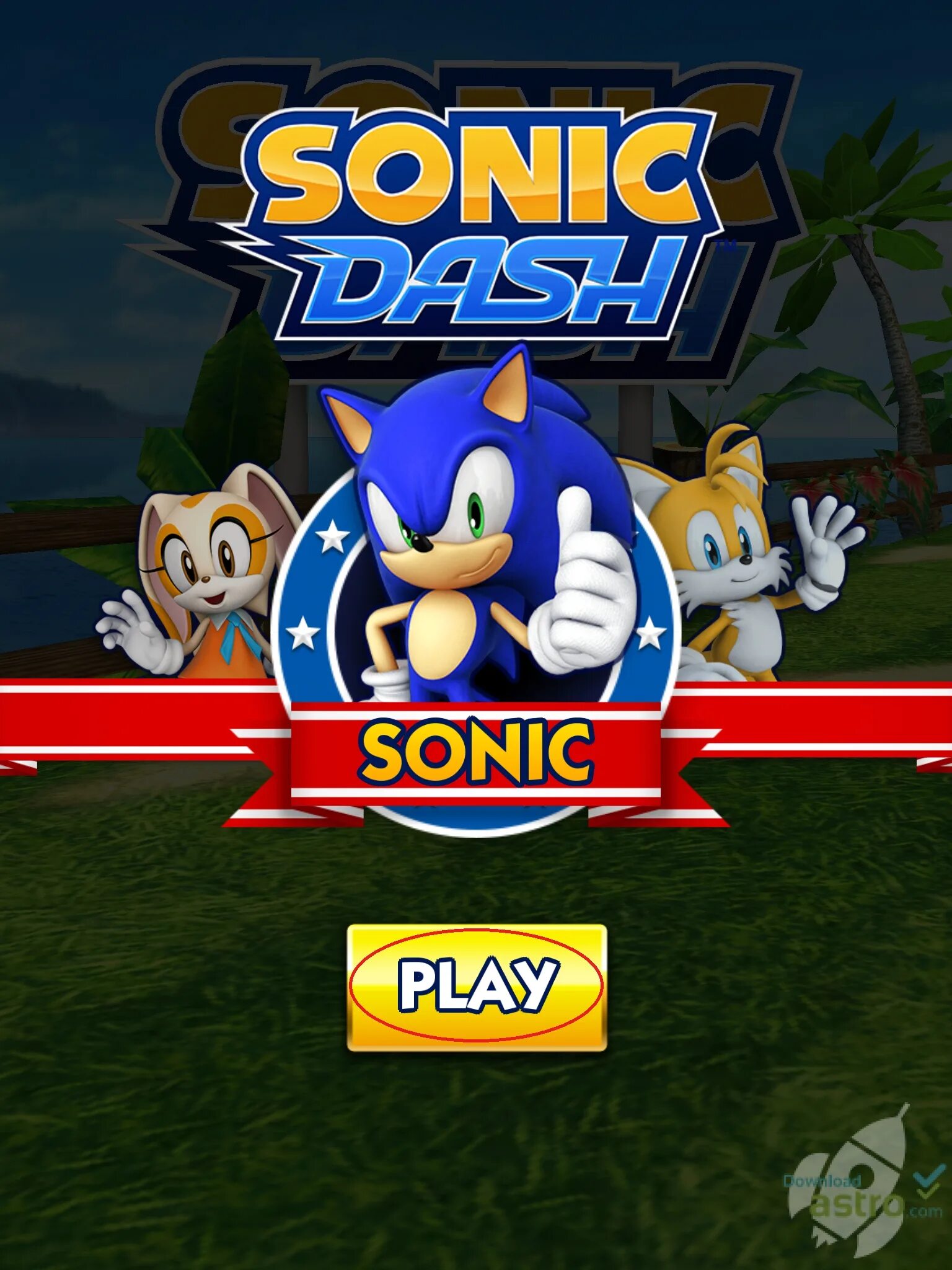 Можно игры соник. Sonic Dash игра для детей. Sonic Dash 2022. Sonic Dash 3. Sonic Boom Dash 2.