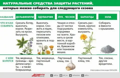 Предохраняет растение от перегрева какая ткань