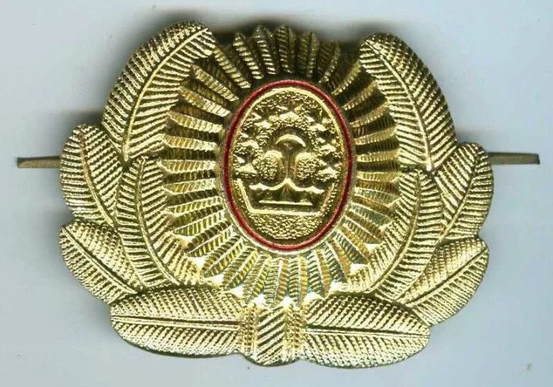 роспотребнадзор кокарда кокарда. кокарда камбоджа. кокарда мчс 2022. кокарда кадетская. кокарда орех мвд металлическая.