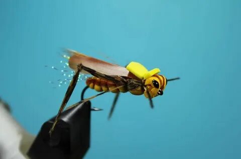 X flies