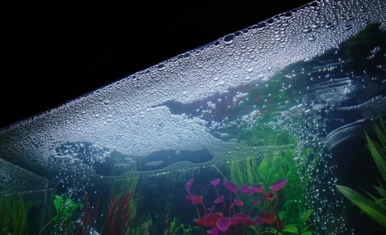 Пена на поверхности аквариума. Пузырьки на поверхности воды в аквариуме. Пузыри в аквариуме на поверхности. Пленка в аквариуме на поверхности с пузырями.