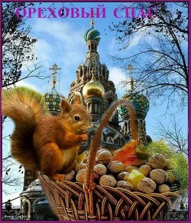Без спаса