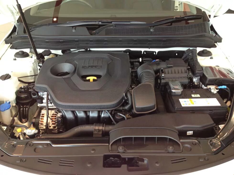 Kia k5 двигатель. Двигатель kia k5 2. Kia g4kn двигатель. Kia k5 мотор 2,5. Двигатель киа к 3.